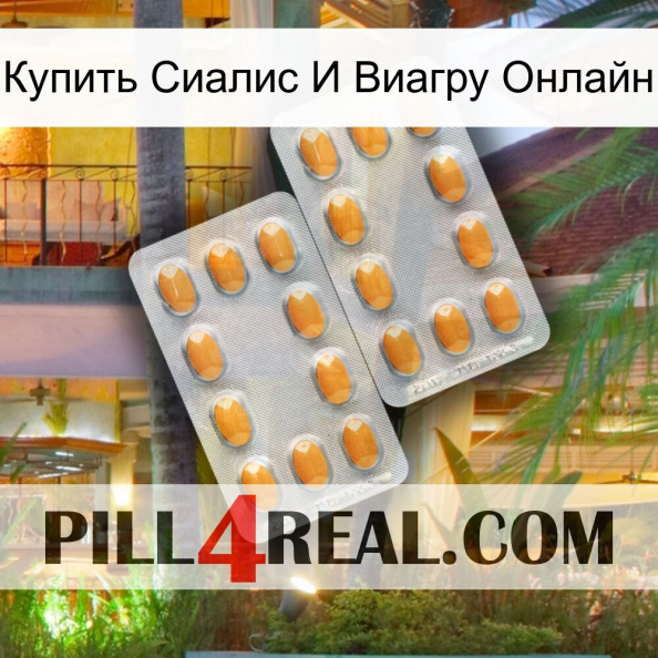 Купить Сиалис И Виагру Онлайн cialis4.jpg